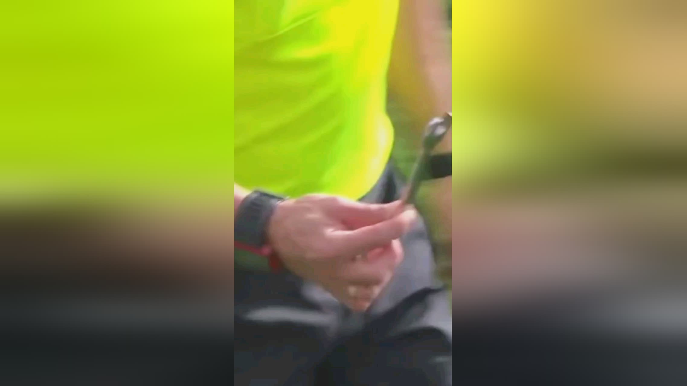 投射这一